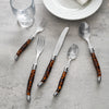 French Home Laguiole Connoisseur 20-Piece 18/10 Flatware Set with Tortoise Handles