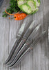 French Home Set of 4 Laguiole Connoisseur Stainless Steel Steak Knives